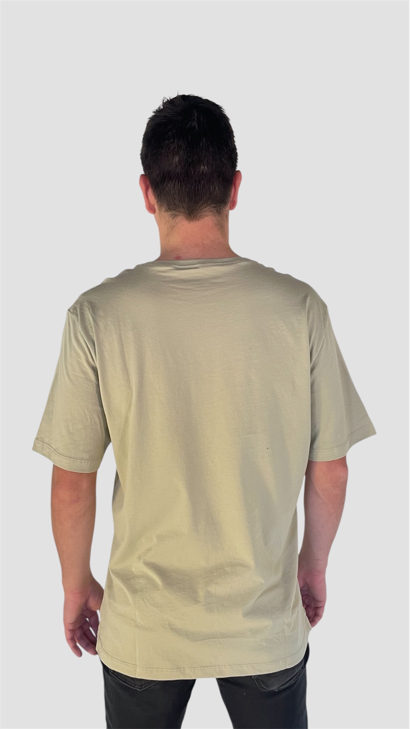 Polera Verde Pistacho Manga Corta PIMA Henley