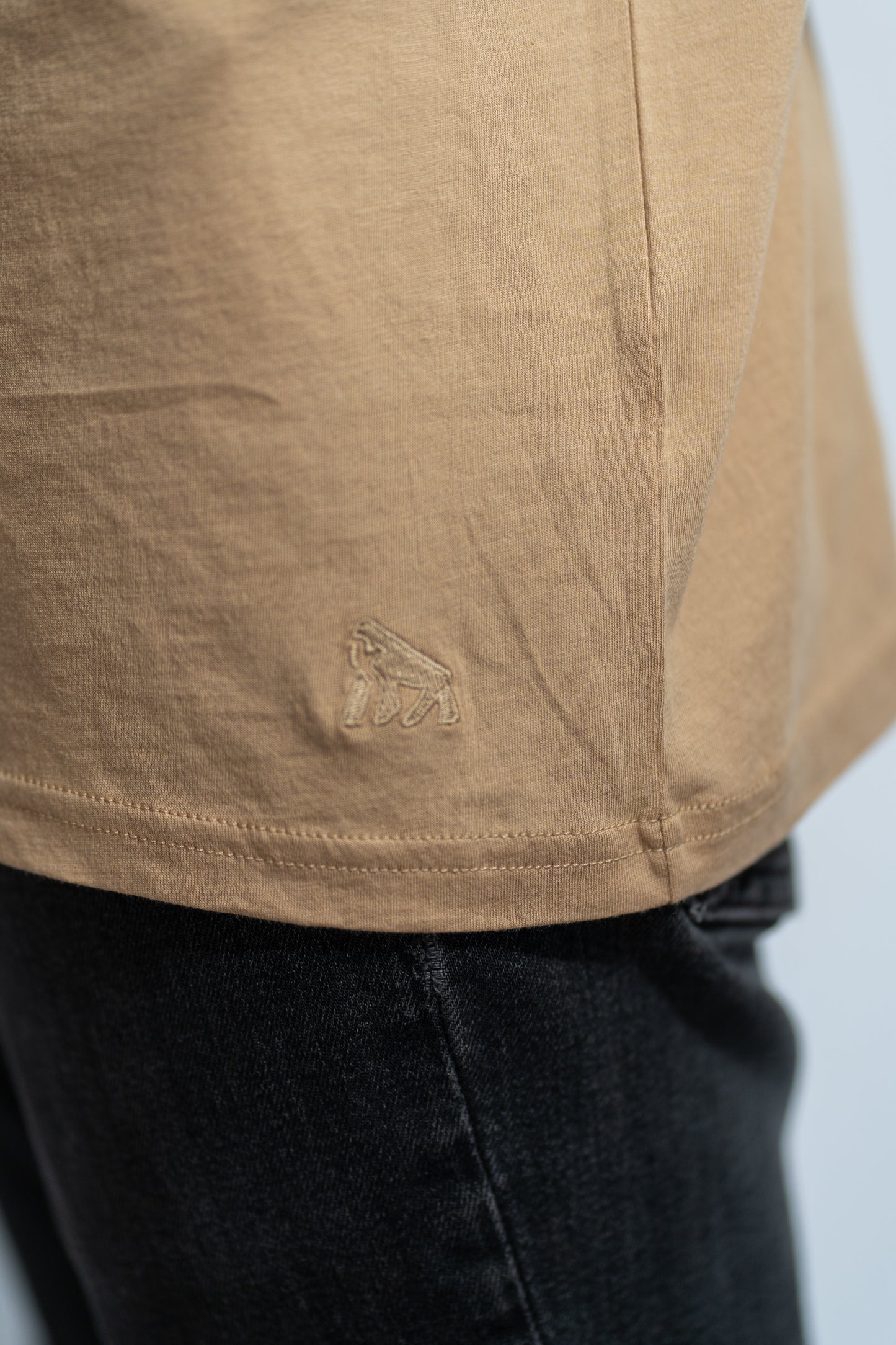 Polera Camel Manga Larga PIMA Henley V1