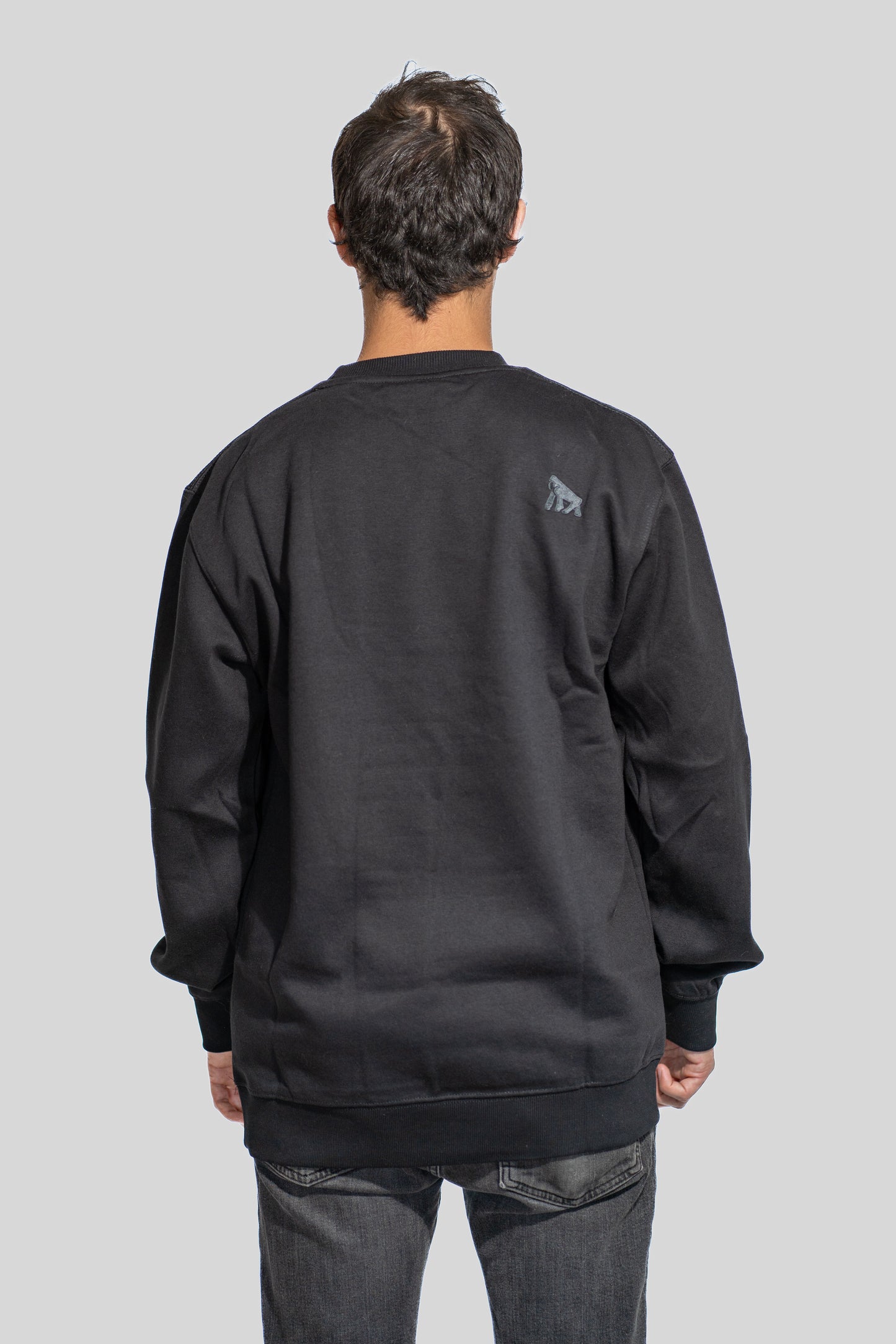 Polerón Sweatshirt Huicoco Negro