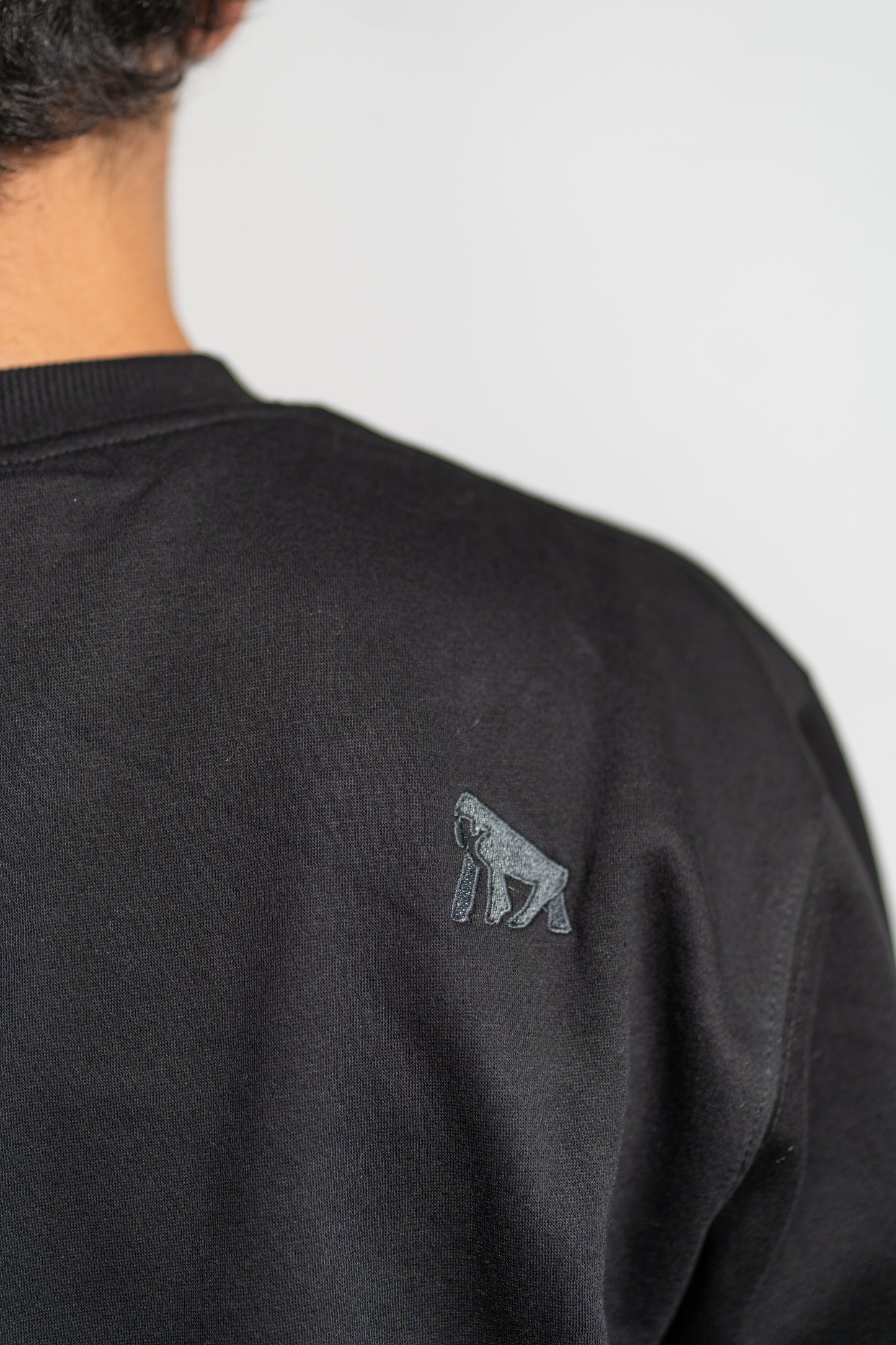 Polerón Sweatshirt Huicoco Negro